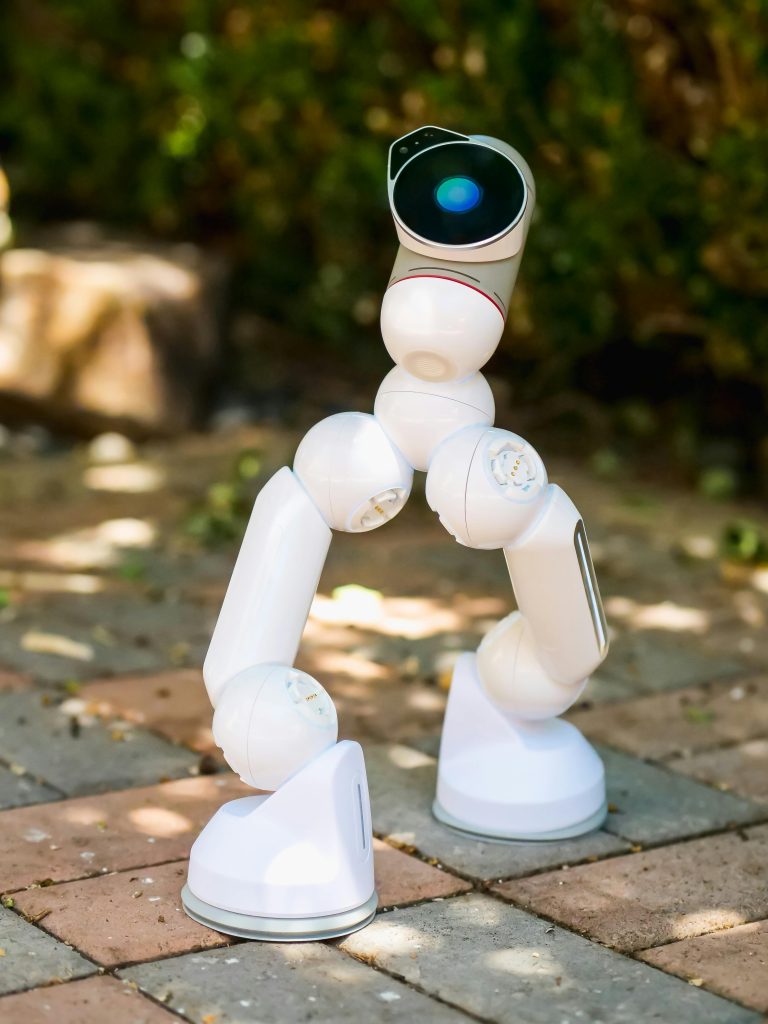 Explainable AI: Building Trust in Intelligent Systems